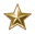Star Icon