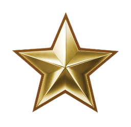 Chiến sĩ quả cảm